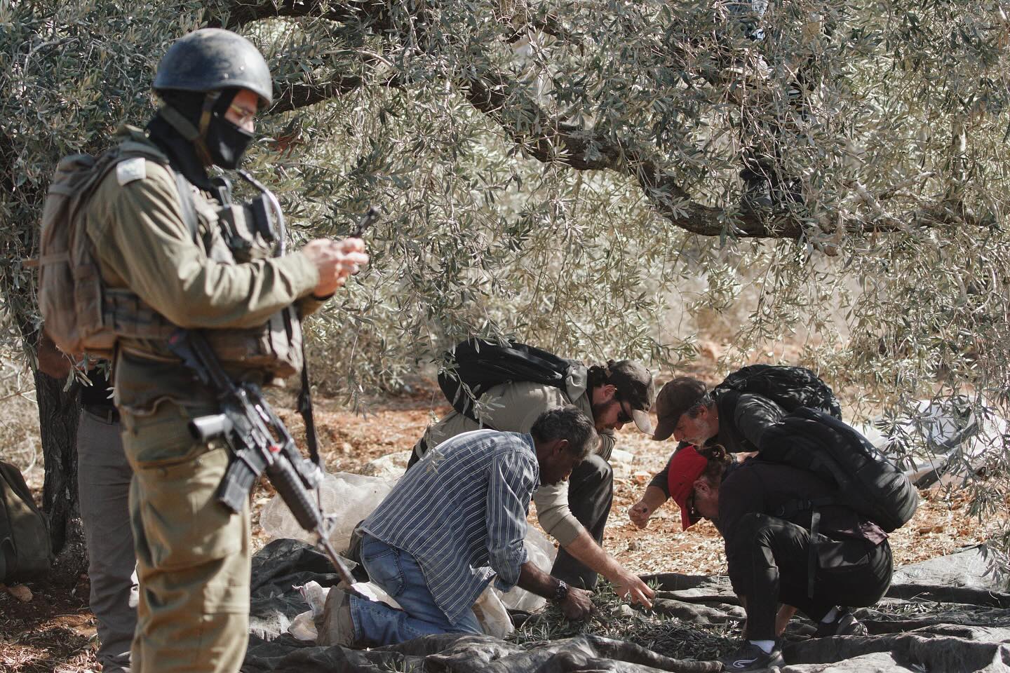 https://newyorkwarcrimes.com/media/pages/a-season-of-blood/e3f5f639d1-1791326221/snapinsta.to_573537544_18426733357108111_5460925066255362603_n.jpg