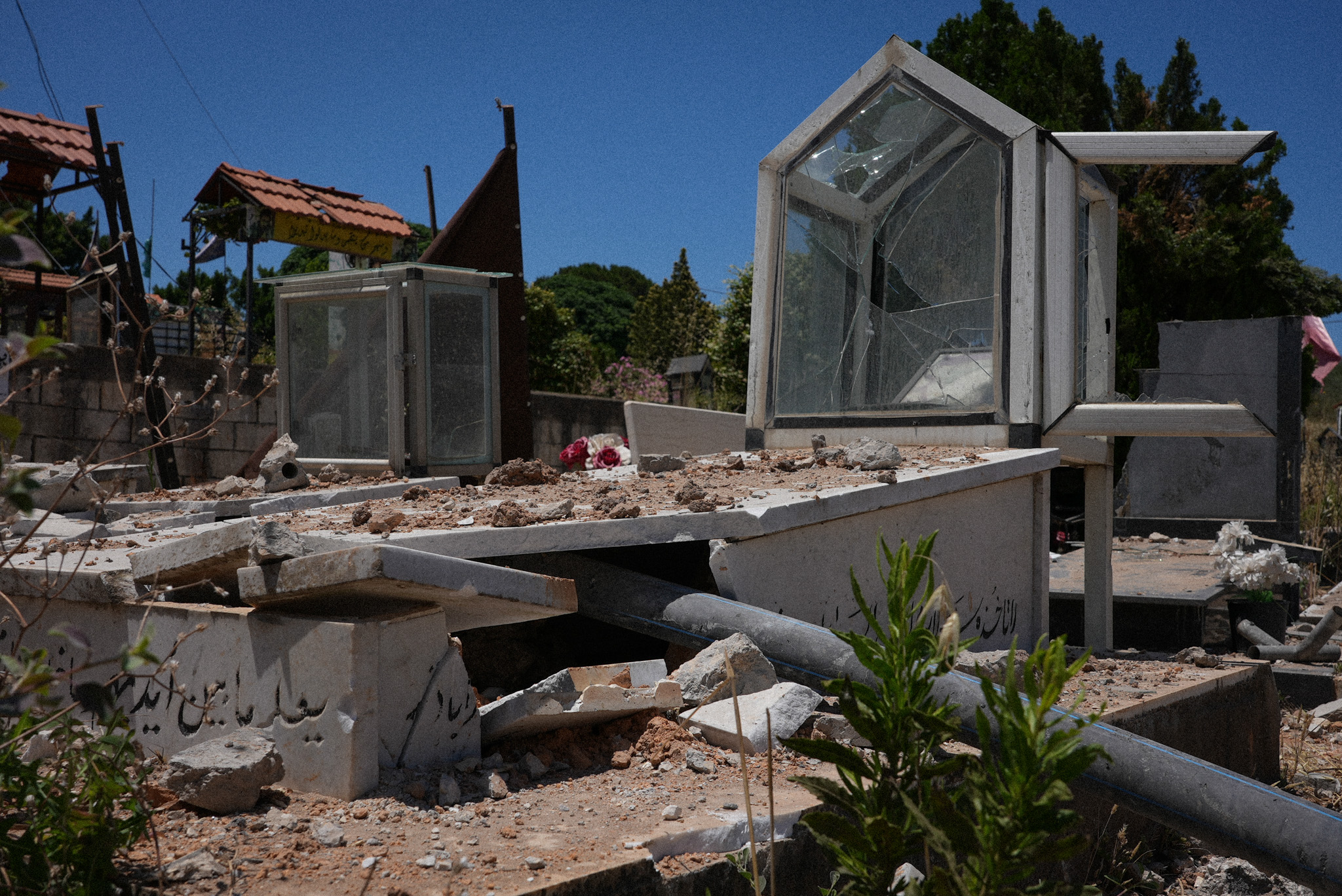 https://newyorkwarcrimes.com/media/pages/did-they-bulldoze-my-father-s-grave/2531de1c75-1784153786/1-color-graves.jpg